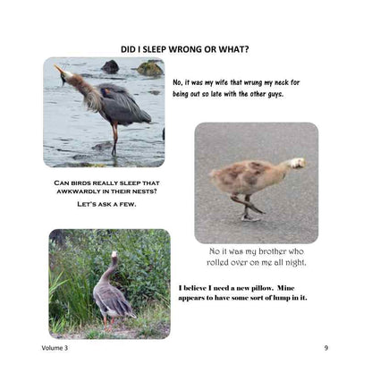 The Wonderfully Wacky World of those Crazy Critters & More Around Us! - Vol. 3