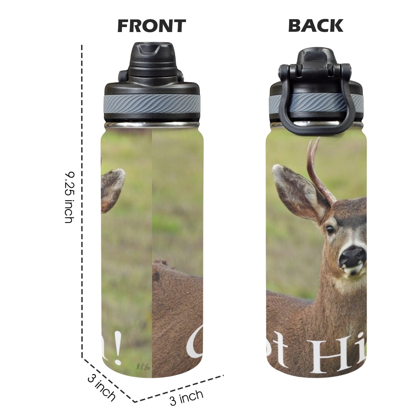 Gazing Deer - Water Bottle