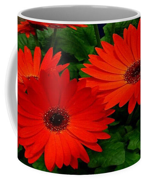 Red Gerbers - Mug