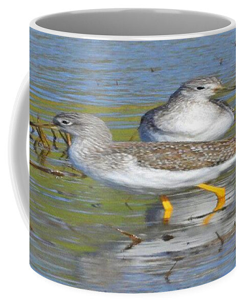 2 Yellow Legs - Mug