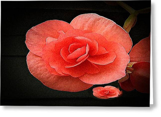Begonia Twin - Greeting Card