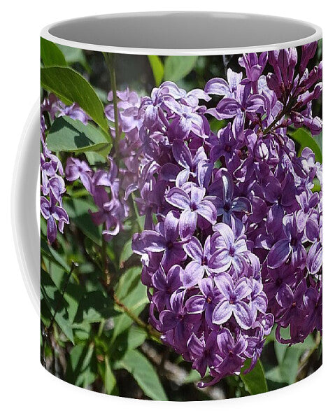 Chinensis - Mug