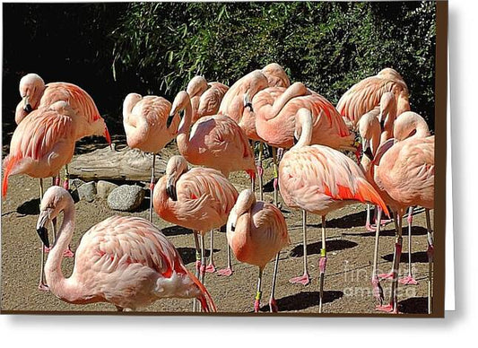 Pink Flock - Greeting Card