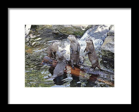 What's Up - Framed Print